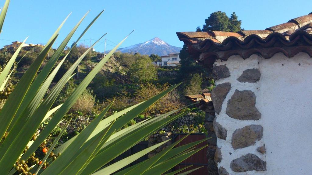 Finca Los Ciruelos Casas Rurales Icod De Los Vinos Eksteriør billede
